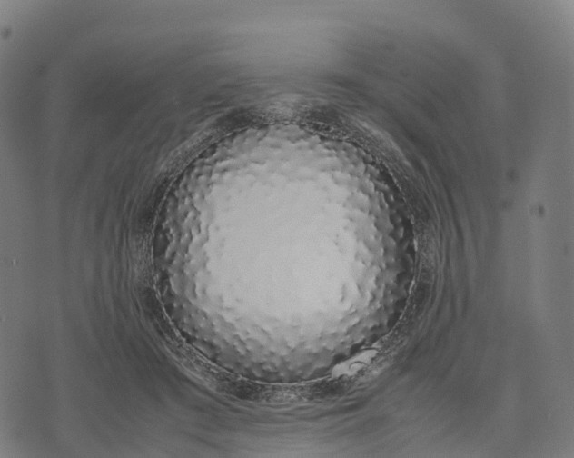 X0000070380409200606231717