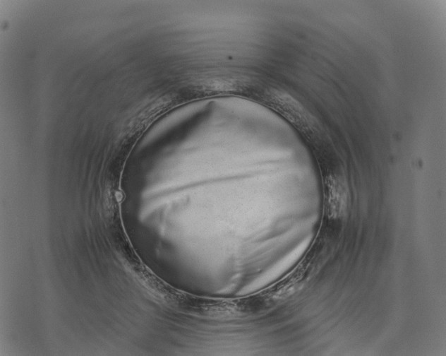 X0000070380410200606231717