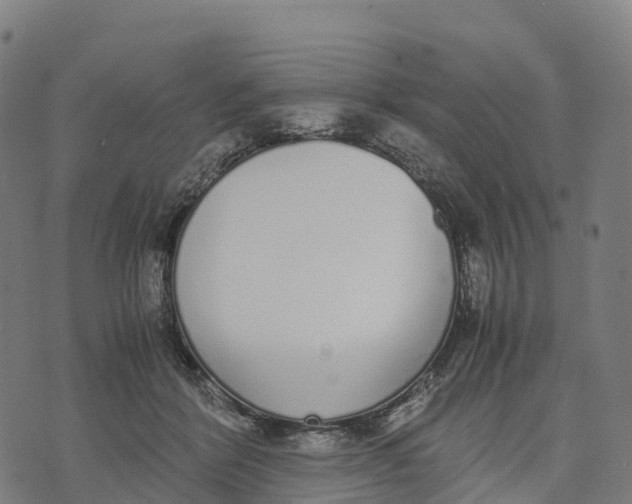 X0000070380412200606231717