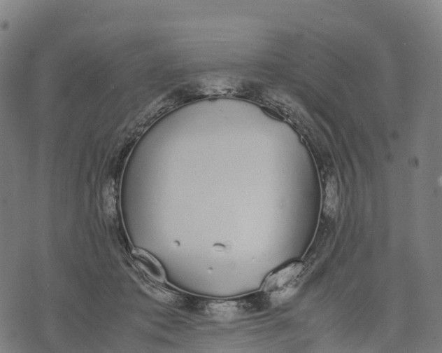 X0000070380413200606231717