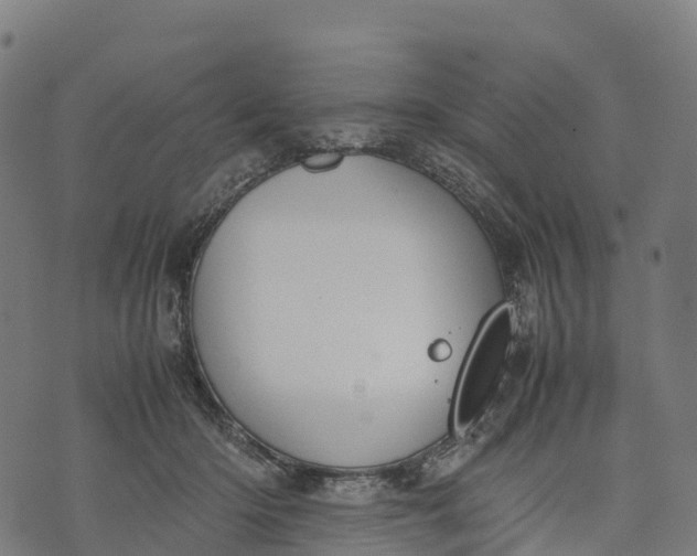 X0000070380414200606231717