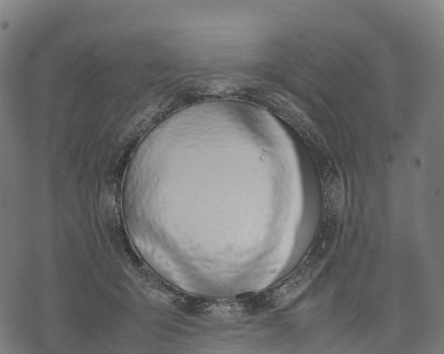 X0000070380415200606231717