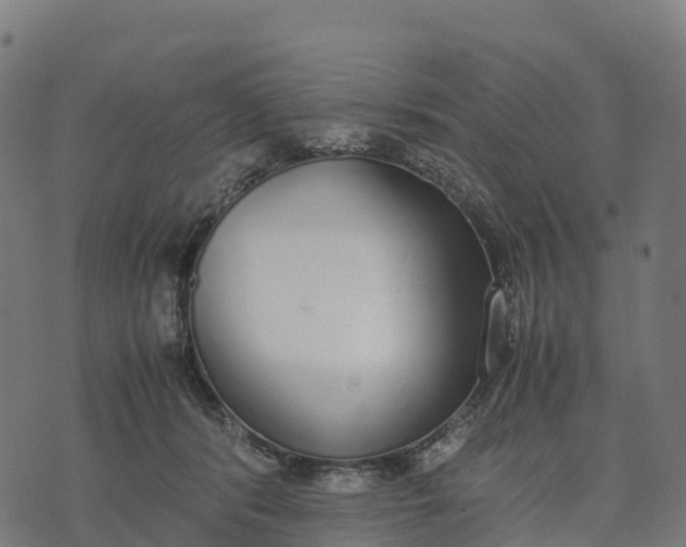 X0000070380416200606231717