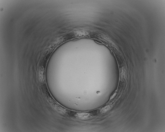 X0000070380417200606231717