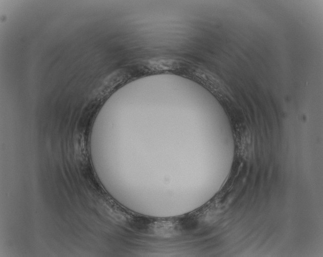 X0000070380418200606231717