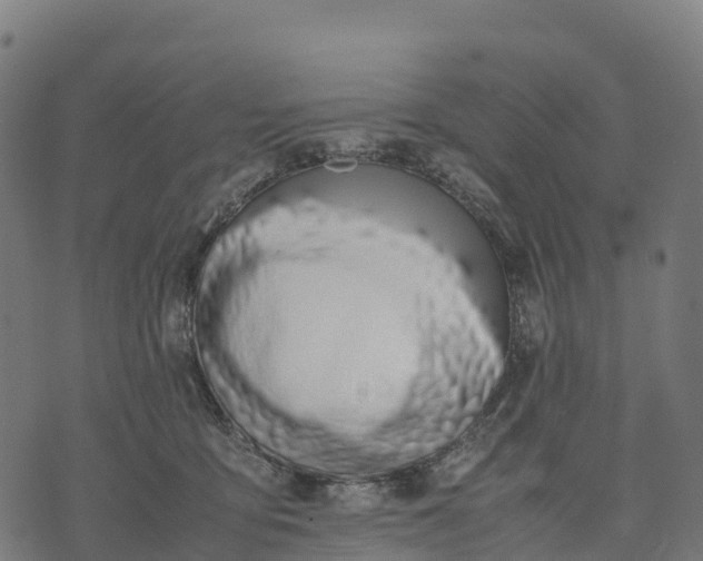 X0000070380419200606231717