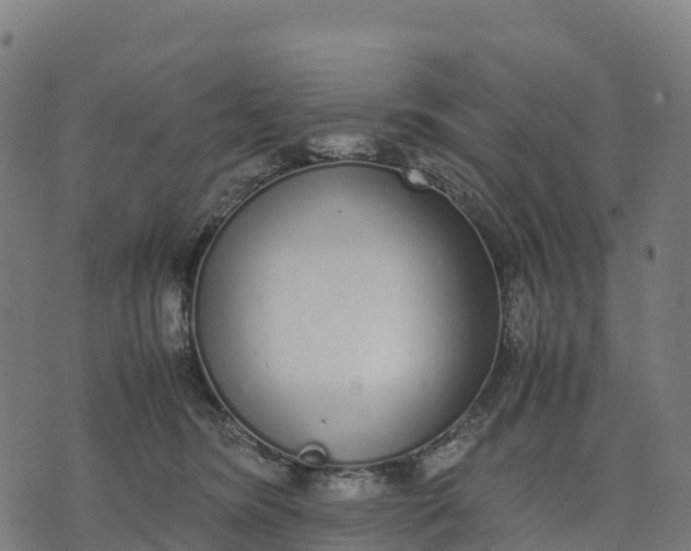 X0000070380420200606231717