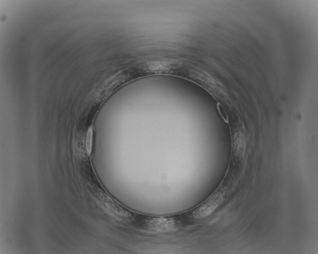 X0000070380421200606231717