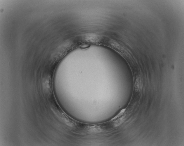 X0000070380424200606231717