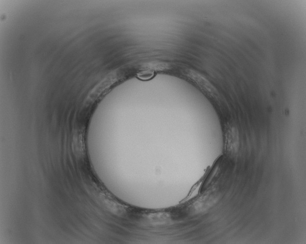 X0000070380426200606231717