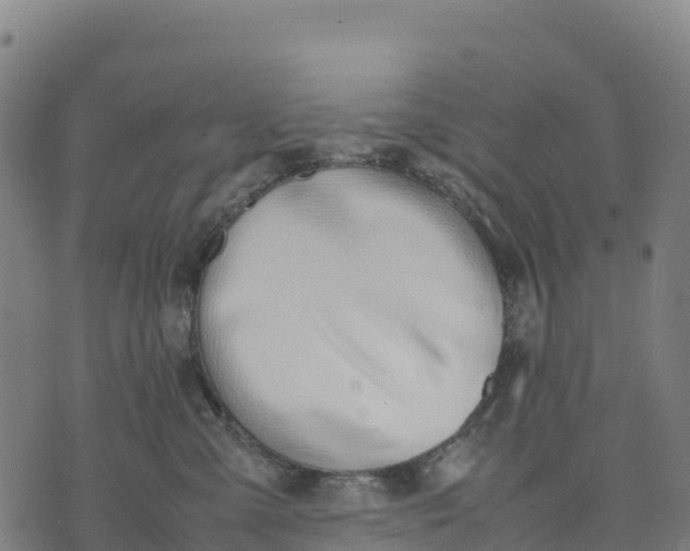 X0000070380427200606231717