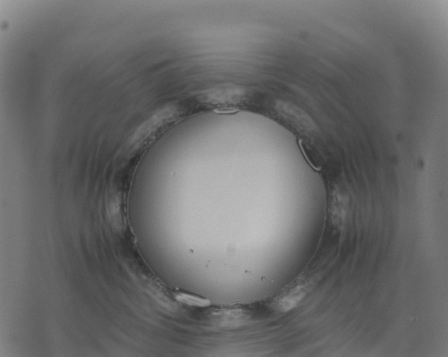 X0000070380428200606231717