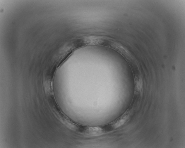 X0000070380429200606231717