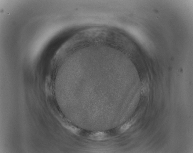 X0000070380431200606231717