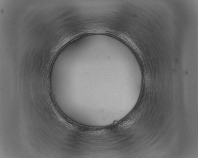 X0000070380433200606231716