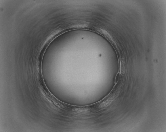 X0000070380435200606231716