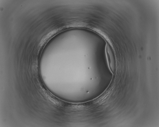 X0000070380437200606231716