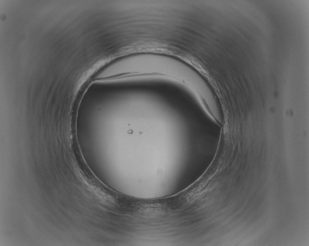 X0000070380438200606231716