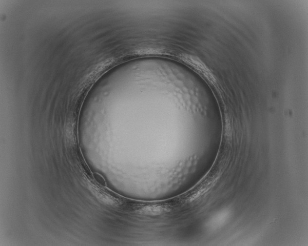 X0000070380441200606231716