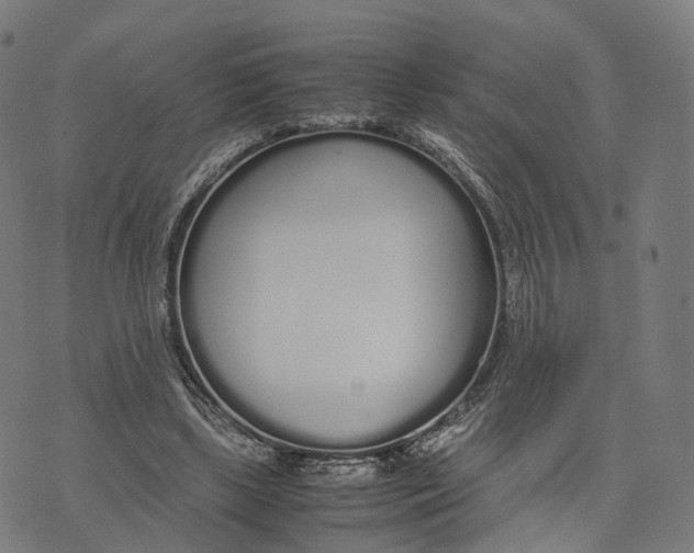 X0000070380443200606231716