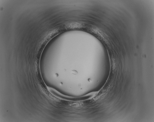 X0000070380447200606231716