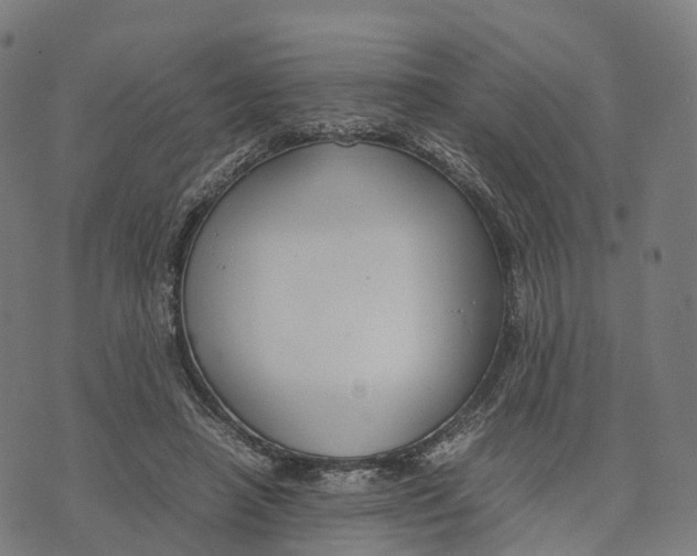 X0000070380450200606231716