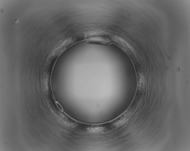 X0000070380452200606231716