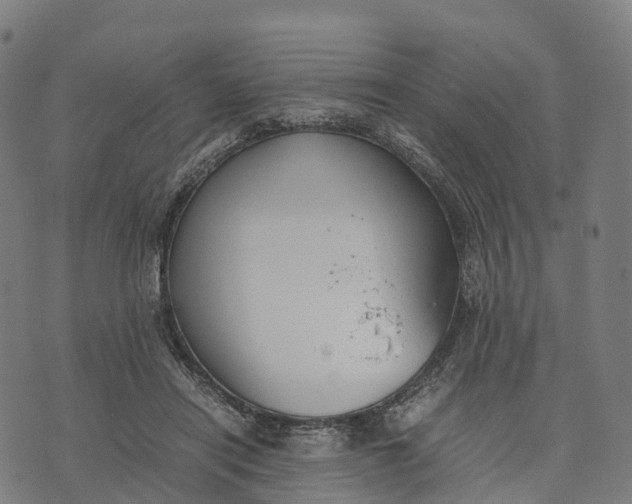 X0000070380454200606231716