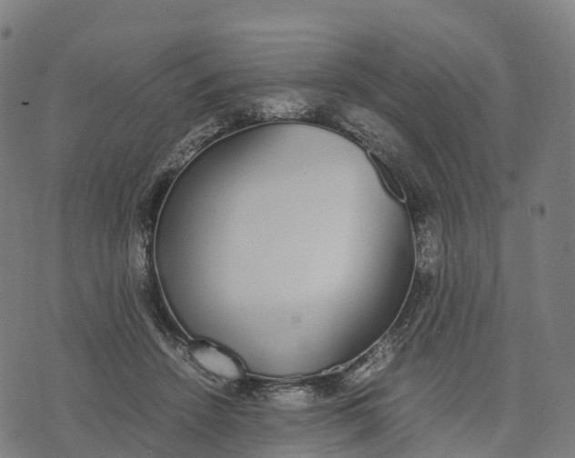 X0000070380456200606231716