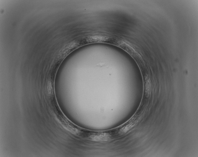 X0000070380459200606231717