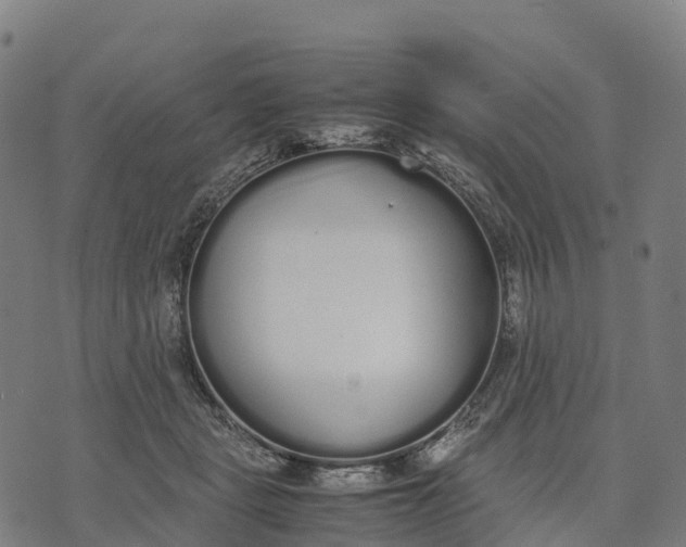 X0000070380461200606231717