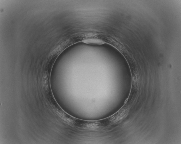 X0000070380462200606231717