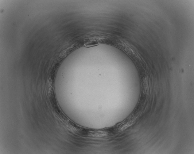 X0000070380463200606231717