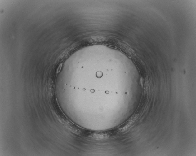 X0000070380464200606231717