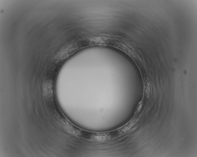 X0000070380466200606231717