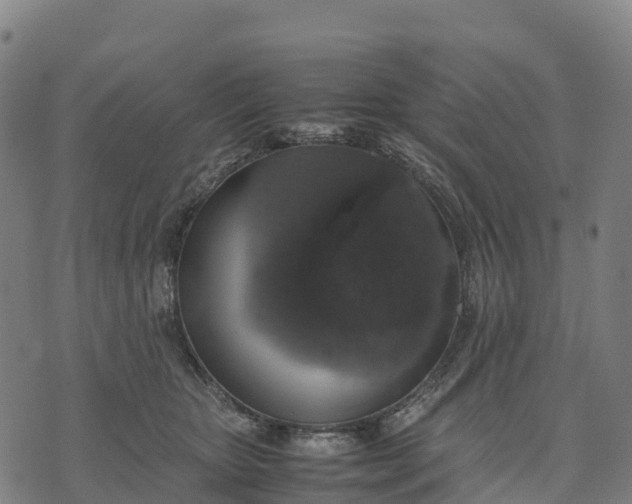 X0000070380467200606231717