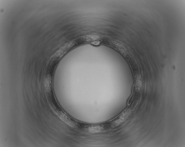 X0000070380468200606231717