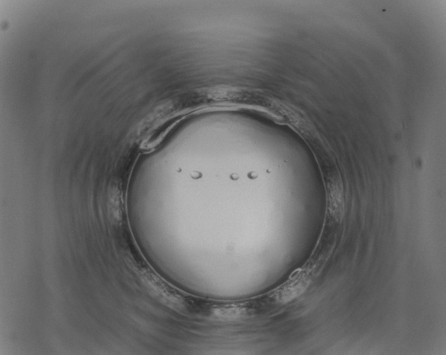 X0000070380470200606231717