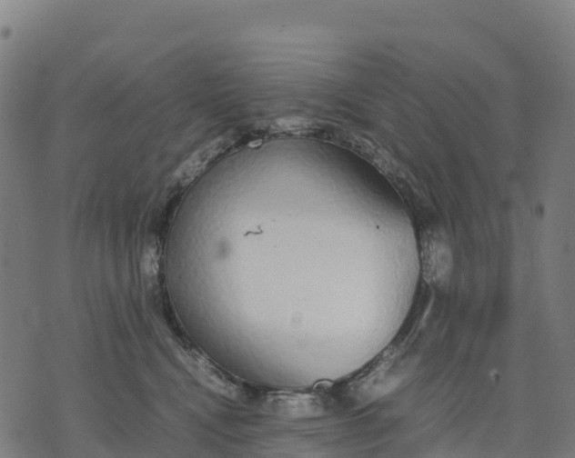 X0000070380472200606231717