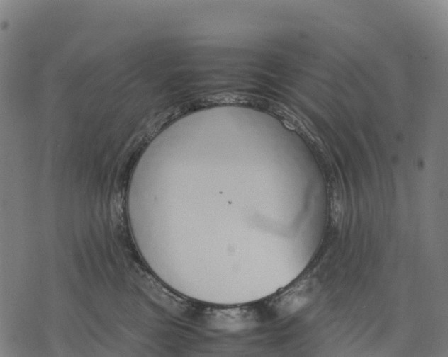 X0000070380473200606231717