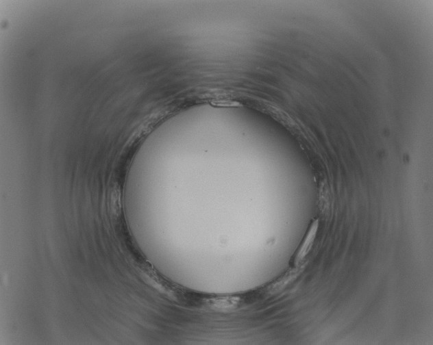 X0000070380474200606231717