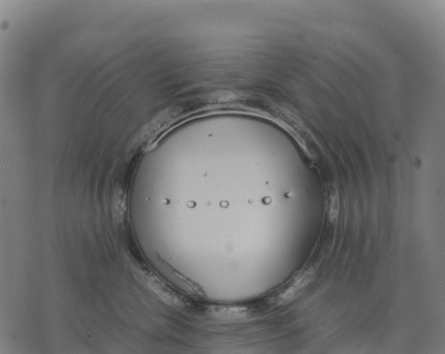 X0000070380476200606231717