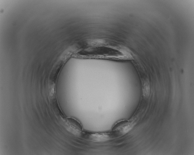 X0000070380477200606231717