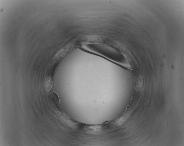 X0000070380478200606231717