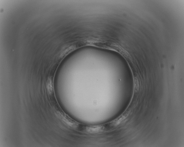 X0000070380479200606231717