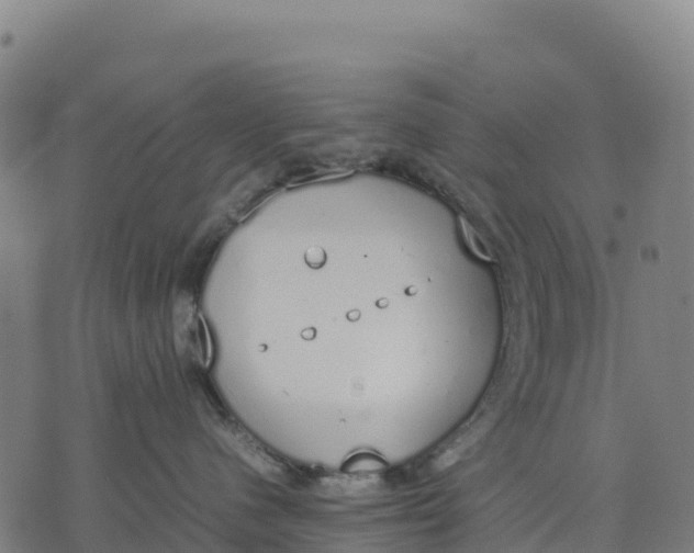 X0000070380480200606231717