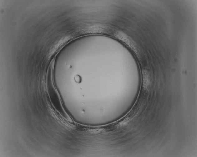 X0000070380482200606231716