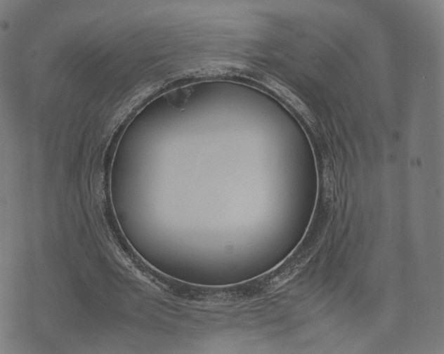 X0000070380485200606231716