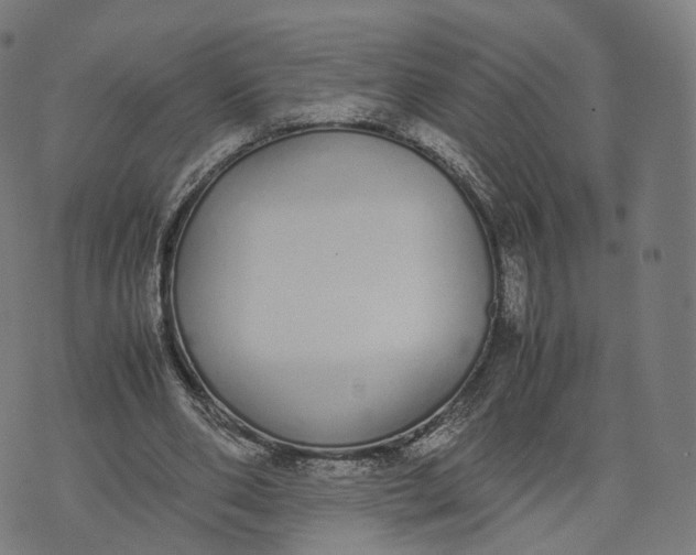 X0000070380486200606231716