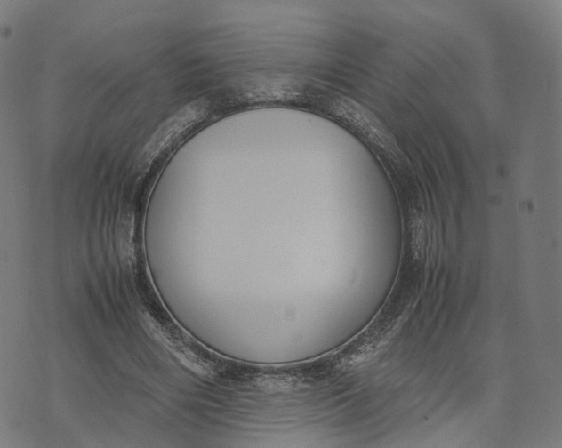 X0000070380490200606231716